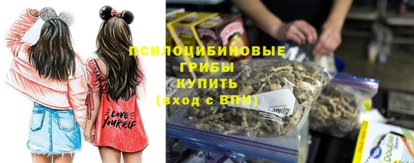 хмурый Бронницы